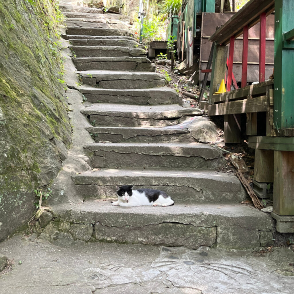 尾道、猫の細道で横になる猫